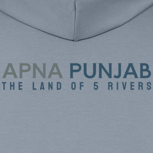 District map Punjab - Light blue