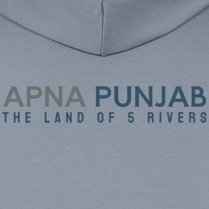 District map Punjab - Light blue